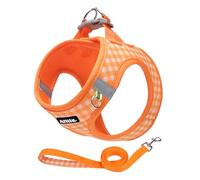 AIITLE Small Dog Harness with Leash - Soft Breathable Mesh, Plaid Pattern & Reflective Strips - Ideal for Training, Running & Party Outings (S, Orange)