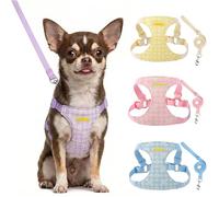 AIITLE Small Dog Vest Harness and Leash Set, Step in No Pull Dog Harness with Adjustable No Choke Design, Breathable Soft Daisy Pattern Puppy Harness for Walking, for Small Medium Dogs - Purple XXS