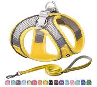 AIITLE Small Harness for Puppy with A Leash - Dog Vest Harness with Super Breathable Mesh, Reflective No-Pull Pet Harness for Outdoor Walking, Running for Small Dogs, Cats Yellow XXS