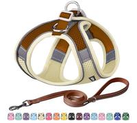 AIITLE Step in Dog Harness and Leash Set - No Pull Escape Proof Vest Harnesses with Soft Mesh and Reflective Bands, Adjustable Pet Outdoor Harnesses for Small and Medium Dogs Beige M
