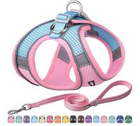 AIITLE Step in Dog Harness and Leash Set - No Pull Escape Proof Vest Harnesses with Soft Mesh and Reflective Bands, Adjustable Pet Outdoor Harnesses for Small and Medium Dogs Pink M