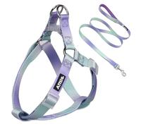AIITLE Step-In Dog Harness and Leash Set - No Pull Pet Adjustable Halter Harness with A 5FT Leash - Double D ring - Easy Walk Running Training for Large Breed Dogs,Purple-Green Gradient L