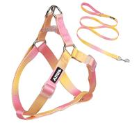 AIITLE Step-In Dog Harness and Leash Set - No Pull Pet Adjustable Halter Harness with A 5FT Leash - Double D ring - Easy Walk Running Training for Large Breed Dogs,Yellow-Pink Gradient L
