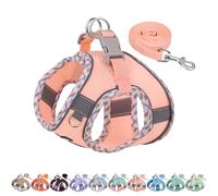 AIITLE Teacup Puppy Harness with Leash - Adjustable Soft Vest with Magic Tape & Reflective Safety Strips, Easy-Put-On for Poodles, Pomeranians - Gym, Hiking, Travel (Pink, S)