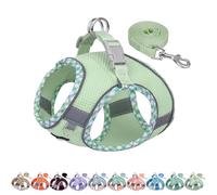 AIITLE Teacup Puppy Harness with Leash - Adjustable Soft Vest with Magic Tape & Reflective Safety Strips, Easy-Put-On for Poodles, Pomeranians - Gym, Hiking, Travel (Sage, S)