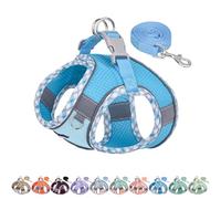 AIITLE Teacup Puppy Harness with Leash - Adjustable Soft Vest with Magic Tape & Reflective Safety Strips, Easy-Put-On for Poodles, Pomeranians - Gym, Hiking, Travel (Blue, S)