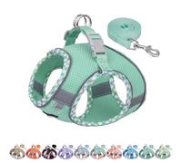 AIITLE Teacup Puppy Harness with Leash - Adjustable Soft Vest with Magic Tape & Reflective Safety Strips, Easy-Put-On for Poodles, Pomeranians - Gym, Hiking, Travel (Turquoise, S)
