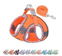 AIITLE Teacup Puppy Harness with Leash - Adjustable Soft Vest with Magic Tape & Reflective Safety Strips, Easy-Put-On for Poodles, Pomeranians - Gym, Hiking, Travel (Orange, S)