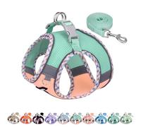 AIITLE XXS Dog Harness & Leash Set - Breathable Reflective No-Choke Small Dog Harness for Teacup Puppies, Indoor/Outdoor Use - Boston Terrier, Maltese, Chihuahua (Turquoise-Pink, XXS)