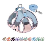 AIITLE XXS Dog Harness & Leash Set - Breathable Reflective No-Choke Small Dog Harness for Teacup Puppies, Indoor/Outdoor Use - Boston Terrier, Maltese, Chihuahua (Blue-Pink, XXS)