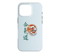 Aikido Japanese Kanji Calligraphy Dragon Martial Arts Case for iPhone 16 Pro