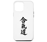 Aikido Kanji Characters Japanese Martial Art Case for iPhone 12 Pro Max