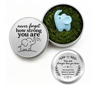 AIKOBAA Elephant Ornament - Mini Blue Resin Elephant in Tin, ‘Never Forget How Strong You Are’ Encouragement Gift, Desk Decor & Good Luck Token