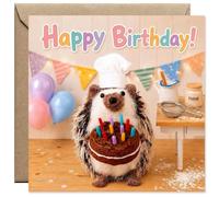 AIKOBAA Funny Hedgehog Birthday Card - Handcrafted Knitted Style Hedgehog Chef with Cake, Rainbow ‘Happy Birthday’, 14x14cm 300gsm with Kraft Envelope