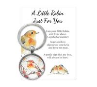 AIKOBAA Little Robin Keepsake Keychain | Comforting & Inspirational Gift with Heartfelt Poem | Remembrance, Sympathy or Encouragement Gift for Her or Him | Keyring for Mom, Friend, Loved One