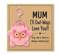 AIKOBAA Plush Owl Keychain, Cute Soft Stuffed Animal Key Ring, for Mom Gift Mother's Day Present, Bag, Purse, Backpack Hanging Ornament