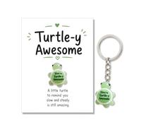 AIKOBAA Positive Turtle Keyring and Ornament Set, Glow in the Dark Turtle Keychain with Desk Decor, Turtle-y Awesome Encouragement Gift Set with Card, Cute Resin Turtle for Friend