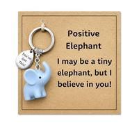 AIKOBAA Small Blue Elephant Keychain with Inspirational Metal Token - I May Be a Tiny Elephant, But I Believe in You Motivational Gift, Cute Animal Keyring for Positivity & Encouragement (Elephant)
