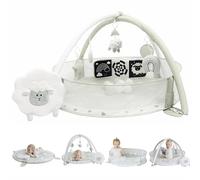 Aila+Aiden Extra Large 6 in 1 Play Mat, Baby Gym, Activity Gym for Babies, Sensory Exploration and Motor Development Toys (Sage)