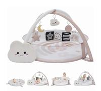 Ail Aiden Extra Large 6 in 1 Play Mat, Baby Gym, Activity Studio for Babies, Sensory Exploration and Motor Development Toys