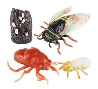 Ailan Simulation Teaching Aids Animal Figurine Cicada Life Cycle Fun Learning Engaging Tool For Early Education Cicada Cycle Animal Growth Early Education
