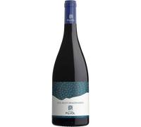Ailes Imaginaires 2023 - Domaine Pujol