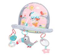 Ailgely Adjustable Infant Car Backseat Toy with Sensory Development for Car Travel, Entertainment for Babies and Parents