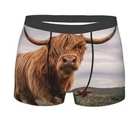 Ailietra Boxer Briefs for Men, Couple of Highland Cows Funny Underpants for Valentine's Day Christmas Day Gifts M