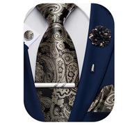 Ailisus Black Gold Ties for Men Paisley Silk Necktie and Pocket Square Cufflinks Lapel Pin Tie Clip Set Wedding Formal 5PCS