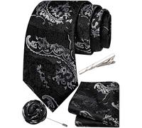 Ailisus Black Silver Ties for Men Paisley Silk Woven Necktie and Pocket Square Lapel Pin Tie Clip Set for Wedding Business