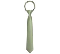 Ailisus Boys Sage Green Tie Silk Solid Color Pre-tied Kids Clip On Necktie Adjustable Formal Wedding School Graduation