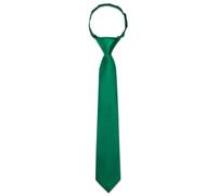 Ailisus Boys Vivid Green Tie Silk Solid Color Pre-tied Kids Clip On Necktie Adjustable Formal Wedding School Graduation