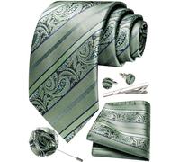 Ailisus Dark Sage Green Paisley Tie and Pocket Square Mens Silk Necktie Set