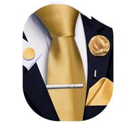 Ailisus Gold Tie and Pocket Square Set Solid Necktie Cufflinks Tie Clip Lapel Pin for Men Wedding Business 5PCS