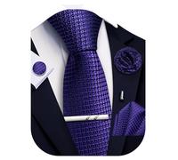 Ailisus Men’s Dark Purple Ties and Pocket Square Set, Plaid Silk Necktie & Handkerchief Lapel Pin Cufflinks Tie Clip for Men Formal Wedding Party