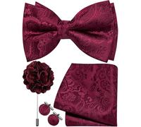 Ailisus Mens Burgundy Bow Tie Silk Paisley Pre-tied Bowtie and Pocket Square Cufflinks Lapel Pin Set Wedding Party Business 4PCS