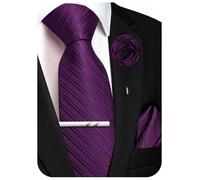Ailisus Mens Dark Purple Striped Ties for Men Solid Color Necktie Handkerchief Lapel Pin Tie Clip Wedding Party Formal Business Tie Set 4PCS