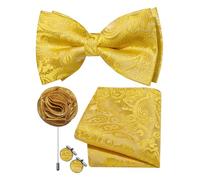 Ailisus Mens Gold Bow Tie Silk Paisley Pre-tied Bowtie and Pocket Square Cufflinks Lapel Pin Set Wedding Party Business 4PCS