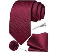 Ailisus Mens Maroon Striped Ties for Men Solid Color Necktie Handkerchief Lapel Pin Tie Clip Wedding Party Formal Business Tie Set 4PCS