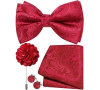 Ailisus Mens Red Bow Tie Silk Paisley Pre-tied Bowtie and Pocket Square Cufflinks Lapel Pin Set Wedding Party 4PCS