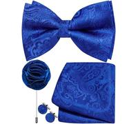 Ailisus Mens Royal Blue Bow Tie Silk Paisley Pre-tied Bowtie and Pocket Square Cufflinks Lapel Pin Set Wedding Party Business 4PCS
