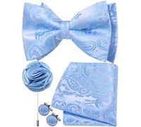 Ailisus Mens Sky Blue Bow Tie Silk Paisley Pre-tied Bowtie and Pocket Square Cufflinks Lapel Pin Set Wedding Party Business 4PCS