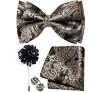 Ailisus Paisley Bow Tie for Men Silk Woven Pre-tied Bowtie and Pocket Square Cufflinks Lapel Pin Set Wedding Party Prom, Black and Dark Gold, One Size