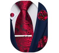 Ailisus Red and Black Ties for Men Paisley Silk Necktie and Pocket Square Cufflinks Lapel Pin Tie Clip Set Wedding Formal 5PCS