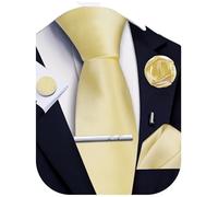 Ailisus Solid Color Ties for Men Silk Satin Necktie and Pocket Square Cufflinks Tie Clip Lapel Pin Set Wedding Business 5PCS, Champagne, One Size