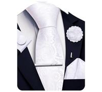Ailisus White Ties for Men Paisley Silk Necktie and Pocket Square Cufflinks Lapel Pin Tie Clip Set Wedding Formal 5PCS