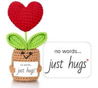 ailov Sympathy Gifts for Loss of Loved One, Bereavement Gift Idea, Emotional Support Crochet Heart Plant - No Words Just Hugs - Memorial, Grief, Thinking of You, Condolence Crochet for Women Men