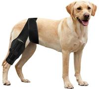 AiMaKoDo Dog ACL Brace Hind Leg, Dog Knee Brace for Front Torn and Back Hind Rear Leg ACL Tear,Hip Dysplasia, Dog Arthritis and Luxating Patella, Adjustable and Comfortable (Medium)