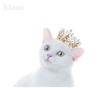 AIMER - Best Selection `Blanc` (Limited)