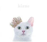AIMER - Best Selection `Blanc` (Limited)